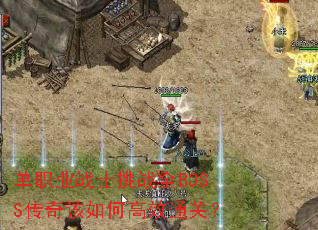��ְҵսʿ��սȫBOSS�������θ�Чͨ�أ�