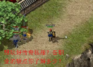 想玩好传奇私服?各职业的缺点你了解多少? 想玩好传奇私服?各职业的缺点你了解多少?