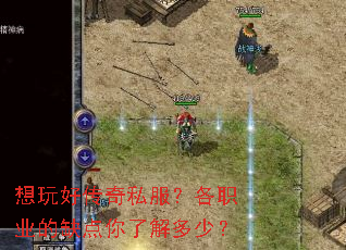 想玩好传奇私服?各职业的缺点你了解多少? 想玩好传奇私服?各职业的缺点你了解多少?