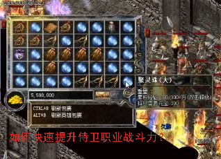 如何快速提升侍卫职业战斗力? 如何快速提升侍卫职业战斗力?