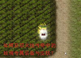 如何获取火线传奇中的玫瑰专属装备与皮肤? 如何获取火线传奇中的玫瑰专属装备与皮肤?