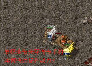 ��ְҵ���⻷����������ο�������ս����