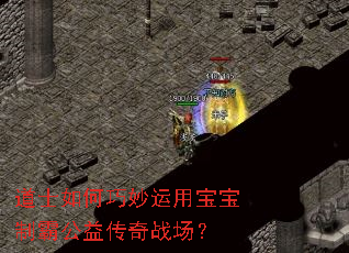 道士如何巧妙运用宝宝制霸公益传奇战场? 道士如何巧妙运用宝宝制霸公益传奇战场?
