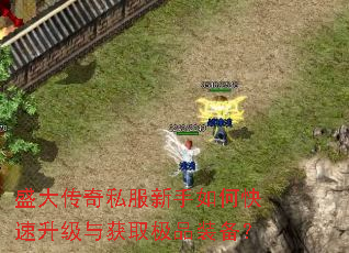 盛大传奇私服新手如何快速升级与获取极品装备? 盛大传奇私服新手如何快速升级与获取极品装备?