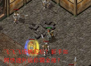飞飞飞扬帆起航?新手如何快速升级称霸全服? 飞飞飞扬帆起航?新手如何快速升级称霸全服?