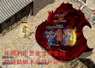 如何利用赏金传奇全自动辅助脚本高效升级? 如何利用赏金传奇全自动辅助脚本高效升级?