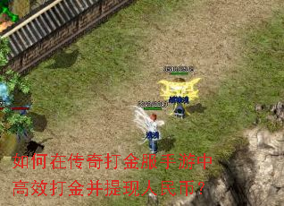如何在传奇打金服手游中高效打金并提现人民币? 如何在传奇打金服手游中高效打金并提现人民币?