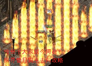 传奇十大家族今何在?探寻昔日霸主去向攻略 传奇十大家族今何在?探寻昔日霸主去向攻略