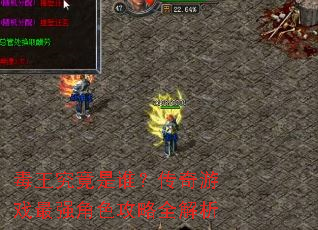 毒王究竟是谁?传奇游戏最强角色攻略全解析 毒王究竟是谁?传奇游戏最强角色攻略全解析