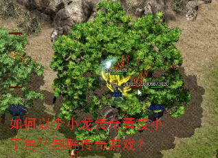 如何以李小龙传奇黄皮小子角色制胜传奇游戏? 如何以李小龙传奇黄皮小子角色制胜传奇游戏?