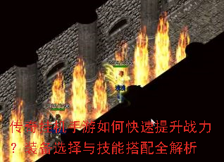 ����һ�������ο�������ս����װ��ѡ���뼼�ܴ���ȫ����