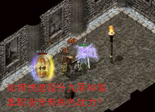 如何快速提升九尾神狐单职业传奇角色战力? 如何快速提升九尾神狐单职业传奇角色战力?