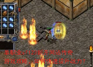 ��ְҵsf123�¿���վ������Ϸ���ԣ���ο�������ս����