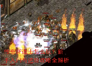 ����SF��ʿ��ô�棿������������׹���ȫ����