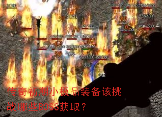 �������С��Ʒװ������ս��ЩBOSS��ȡ��