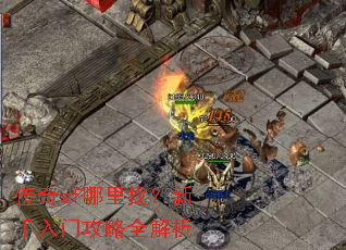 ����sf�����ң��������Ź���ȫ����