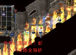 ����sf�����ң��������Ź���ȫ����