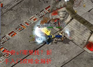 ����sf�����ң��������Ź���ȫ����